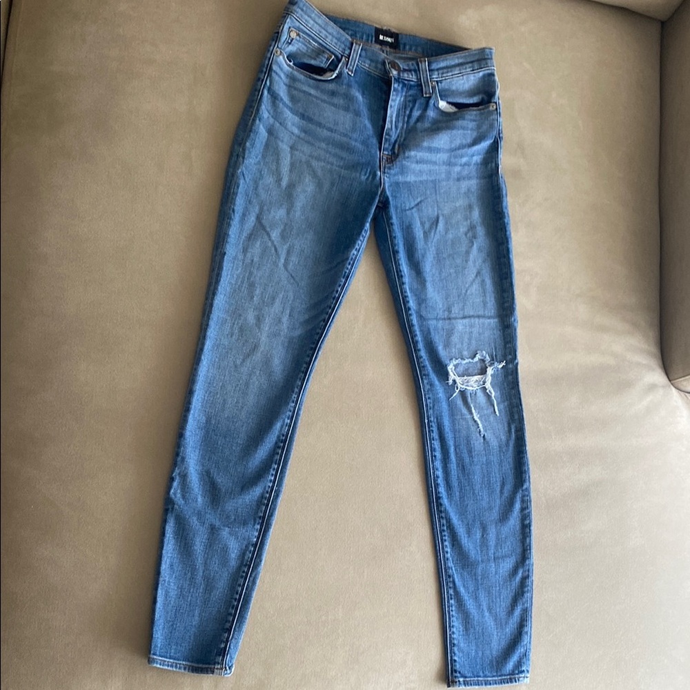Hudson Jeans Blue Skinny Denim